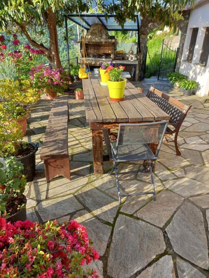 Orizontas Pilio Villa Киссос Экстерьер фото
